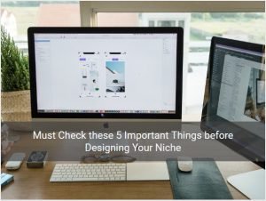 5 Important Things before Designing Your Niche