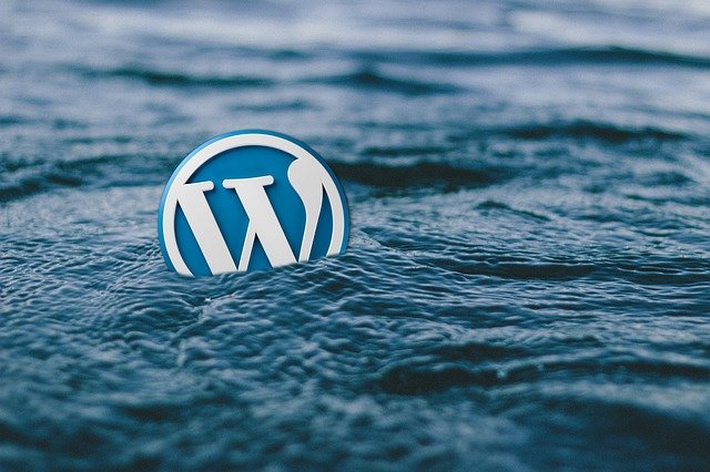 Some Important Points to Select Best WordPress Theme for Your Niche